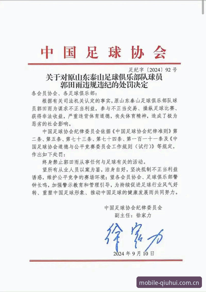 3类足球腐败行为与48人处罚清单，球会体育平台用户深度解读中国足协第三批禁足名单